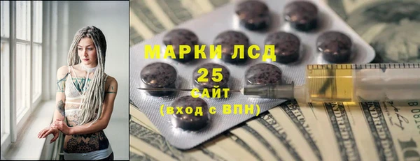 ПСИЛОЦИБИНОВЫЕ ГРИБЫ Рославль