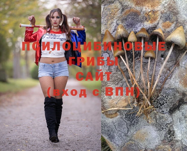 гидропоника Алзамай