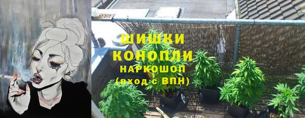 гидропоника Алзамай