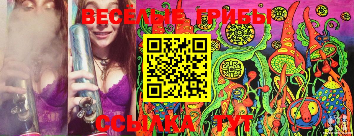 Псилоцибиновые грибы Psilocybine cubensis  где купить наркотик  Амурск  Вход с VPN 